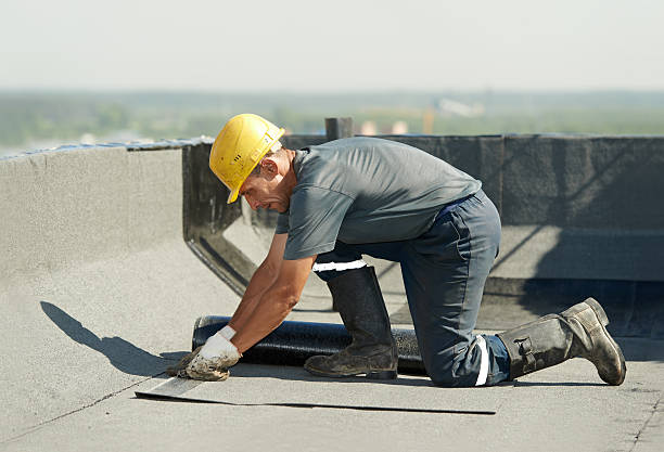 Best Energy Efficiency Solutions in Forestbrook, SC